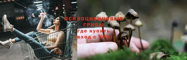 мдпв Медвежьегорск