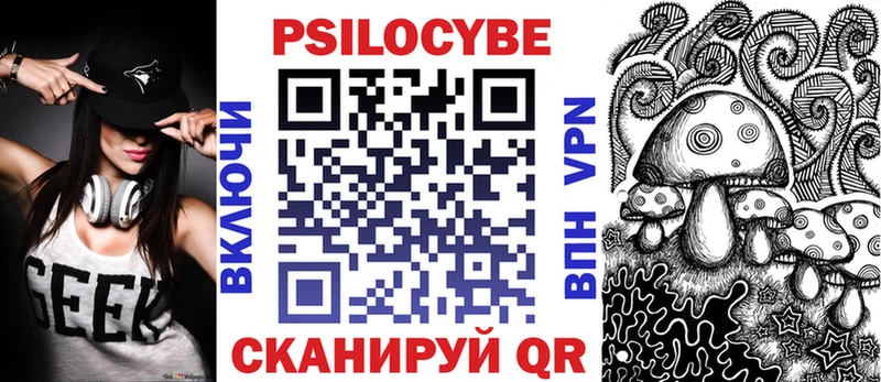 Купить где  Андреаполь  Псилоцибиновые грибы Cubensis 